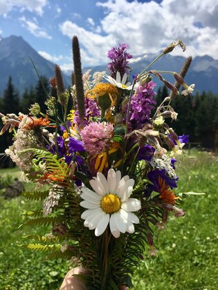 Blumenstrauß von der Almwiese